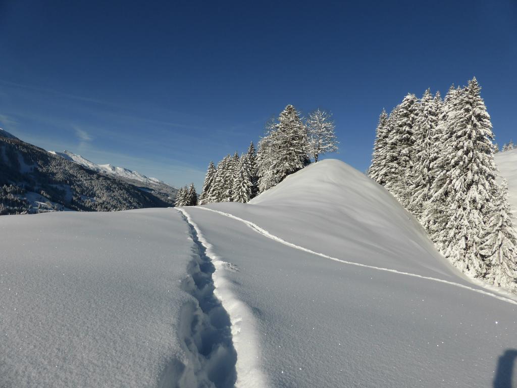 Hotel Berghaus Alpenroesli à Klosters-Serneus Extérieur photo